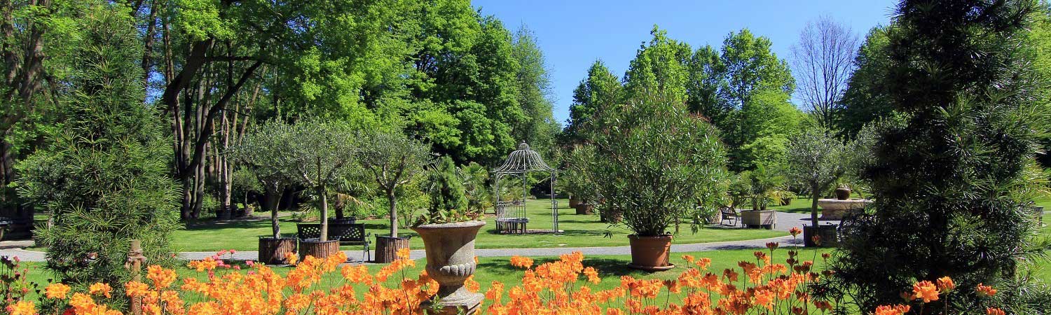 Onkologische Reha-50plus Klinik Bad Oexen